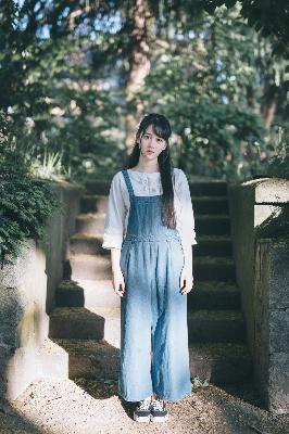 树影迷宫电视剧免费播放